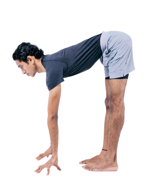 Iyengar Yoga 1