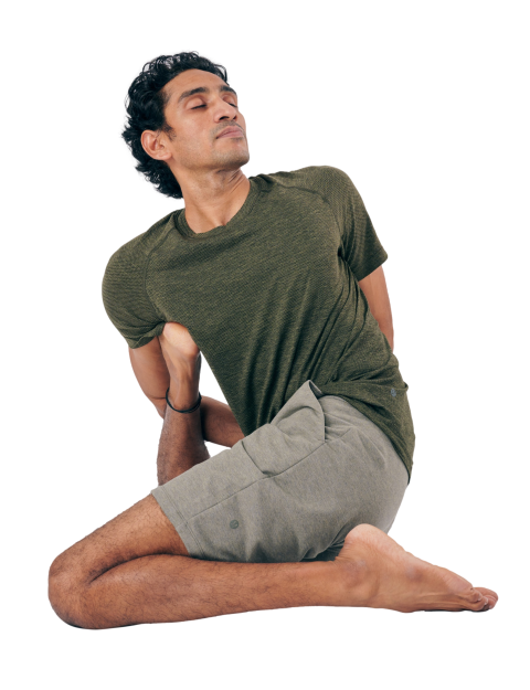 Iyengar Yoga 2